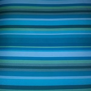 Meet your Posher, Dorothy