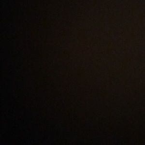 Meet your Posher, Rylie