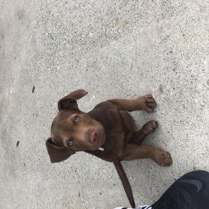 Meet your Posher, Christopher