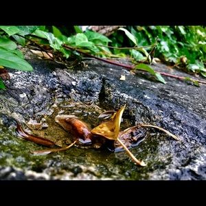 Meet your Posher, Cory