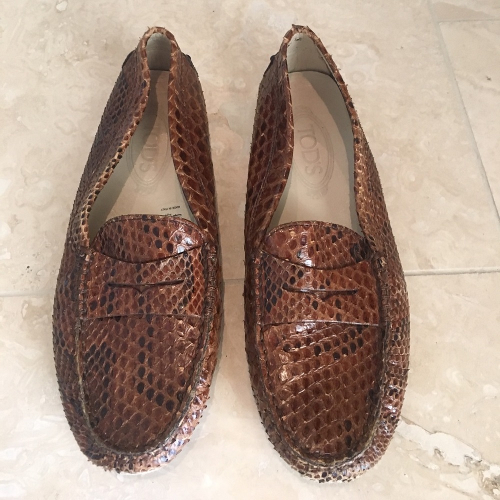 Todd shoes