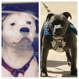 Meet your Posher, Ellen