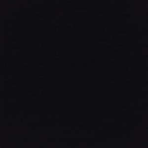 Meet your Posher, Chase