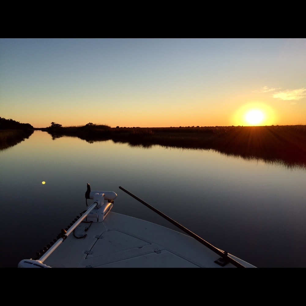 Meet your Posher, Jill