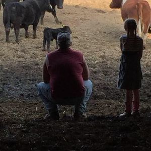 Meet your Posher, Crystal