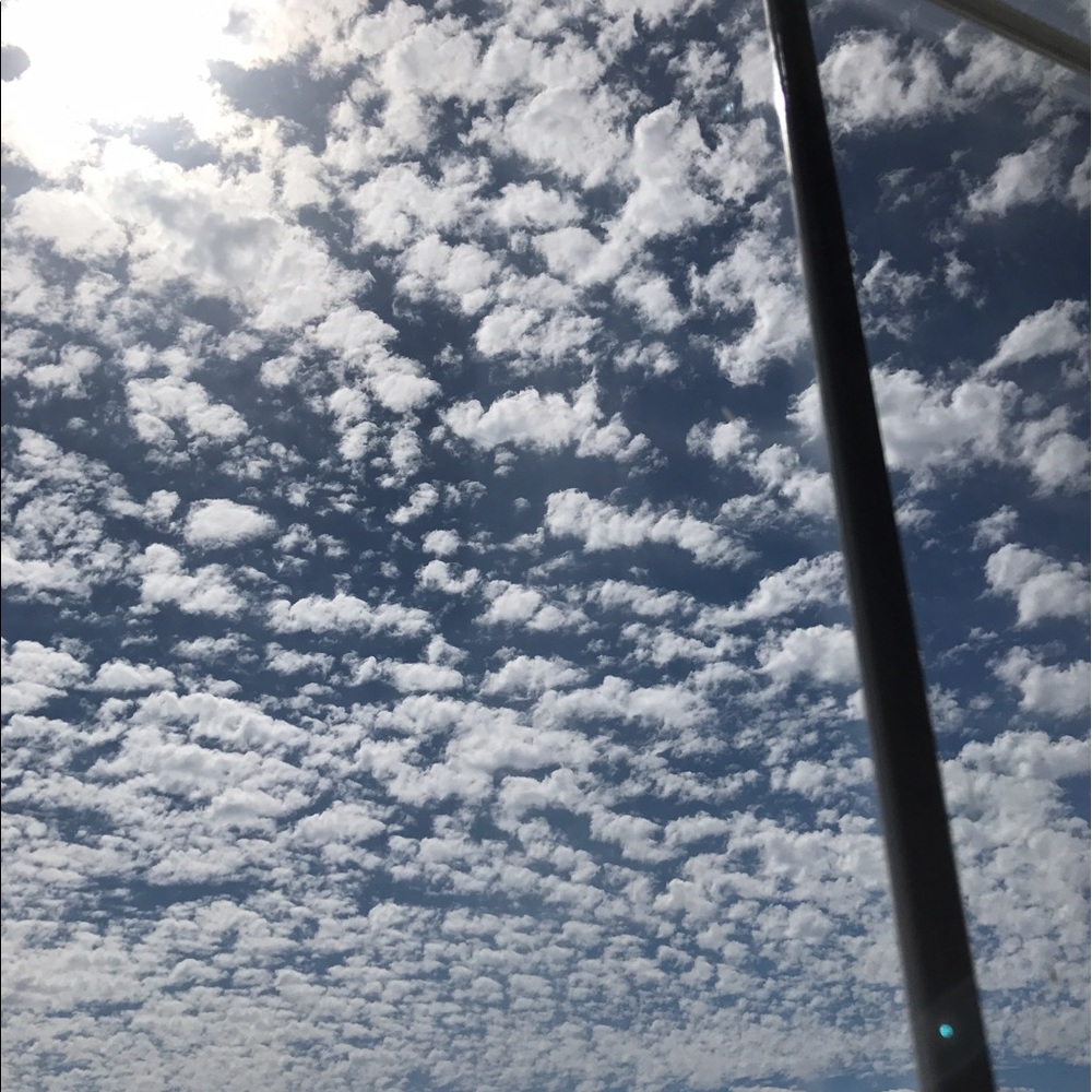 Meet your Posher, Gabby