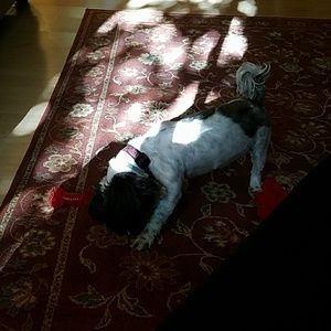 Meet your Posher, Tymeka