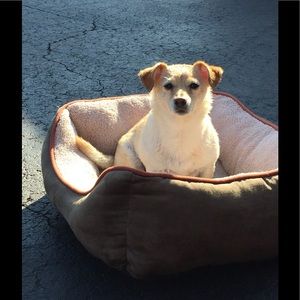 Meet your Posher, Shanie