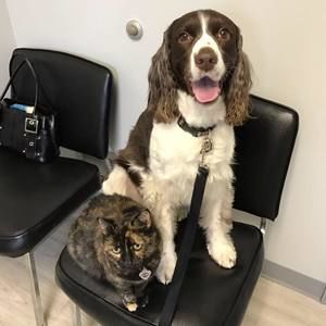 Meet your Posher, Carrie