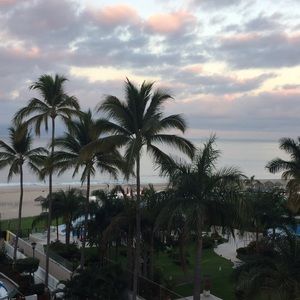 Meet your Posher, Martha