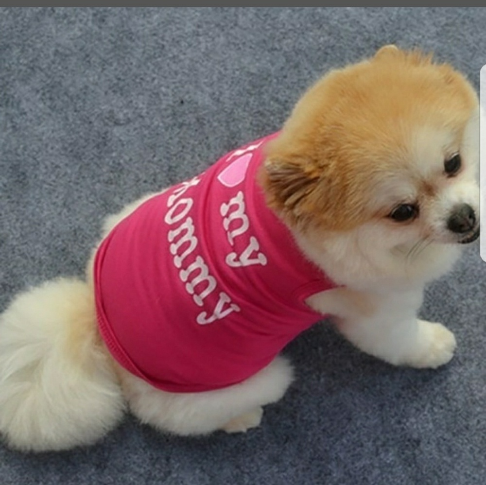 Lovely pet soft casual clothes
