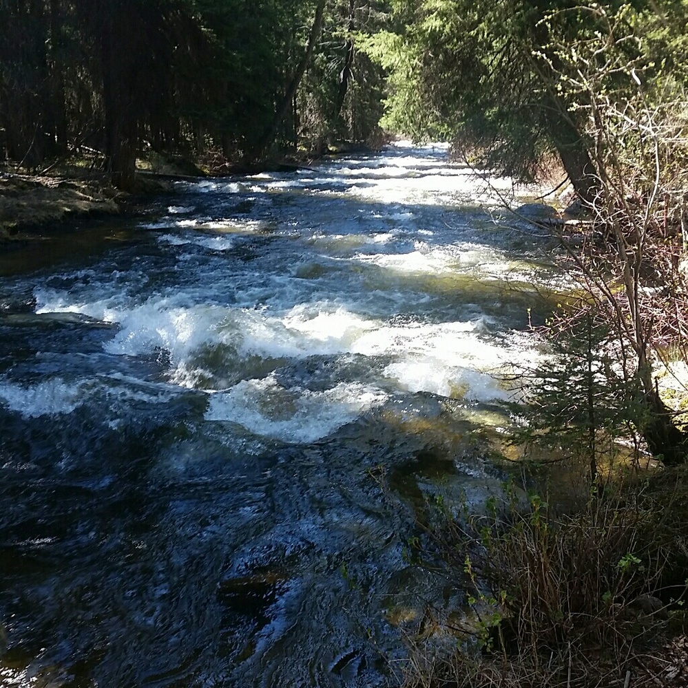 Meet your Posher - Alison Ivy