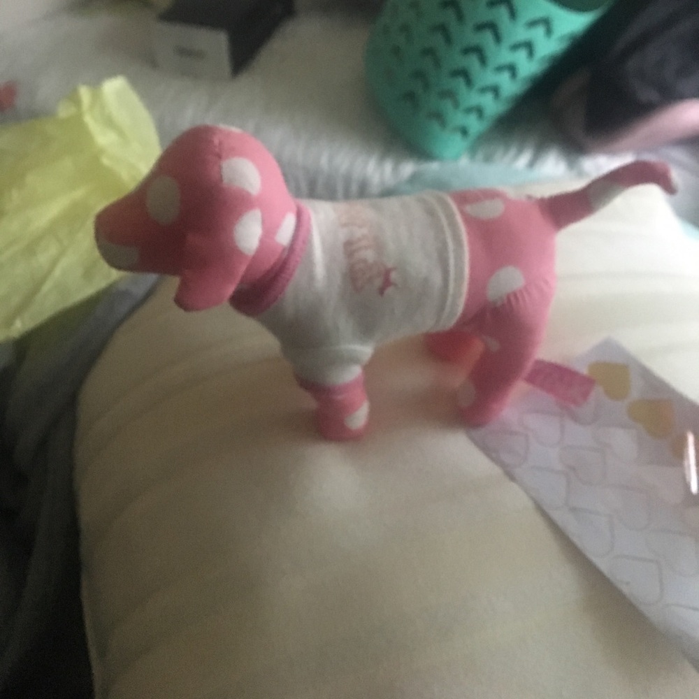 VS pink dog