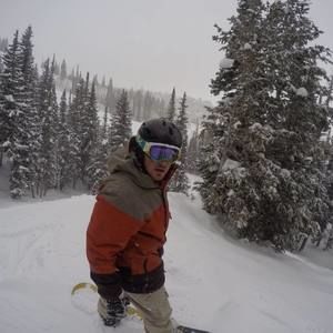 Meet your Posher, David