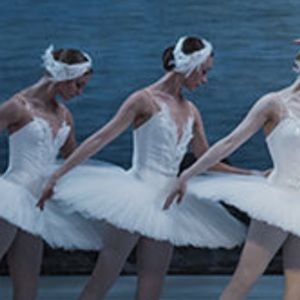 Meet your Posher, Anne