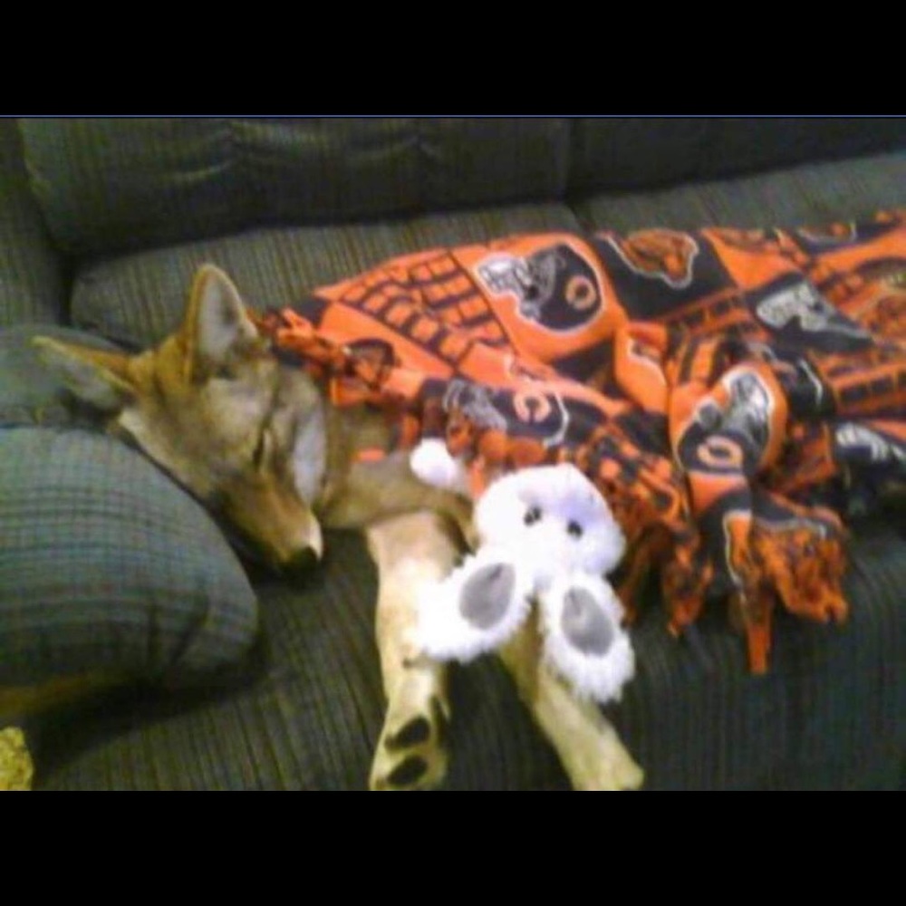 Meet your Posher, Jennifer