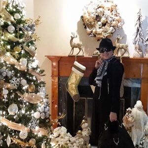 Just showing showcase