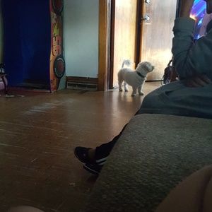 Meet your Posher, Karina