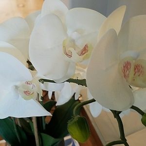 Meet your Posher, Mi