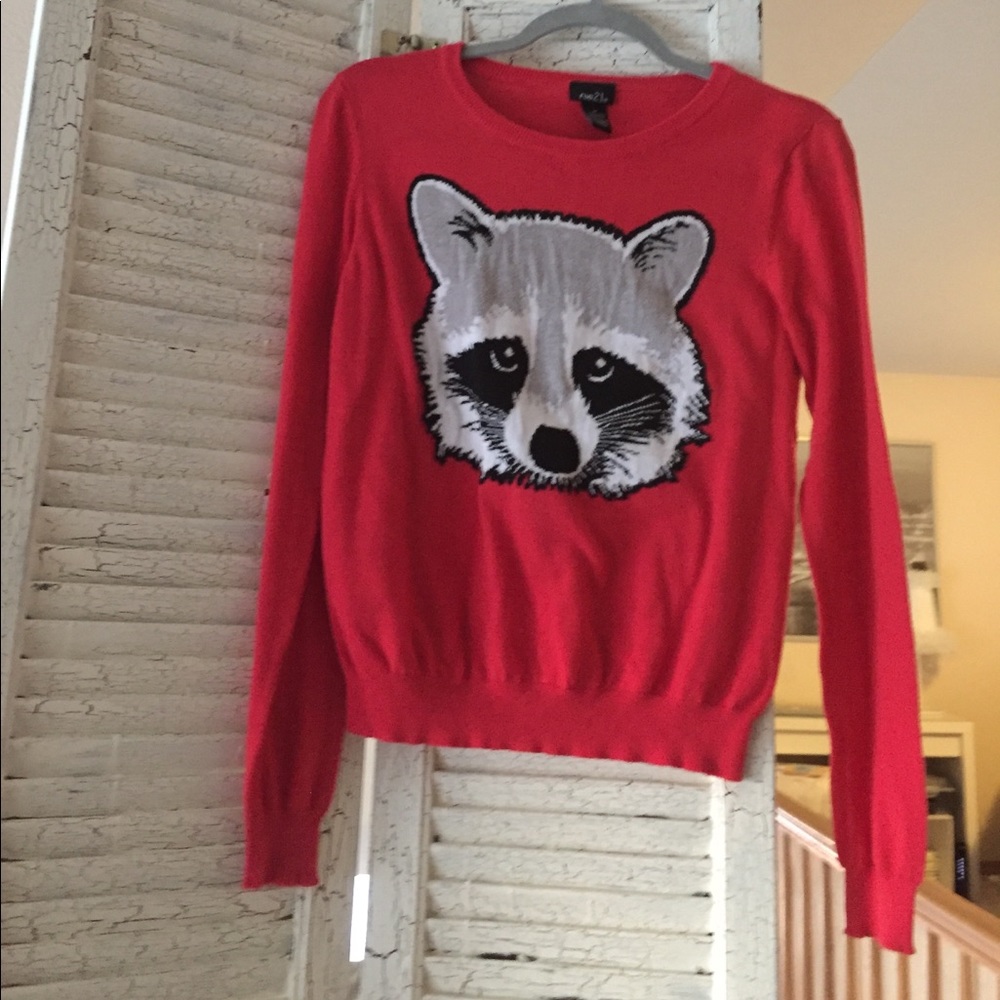 Rue 21 raccoon sweater