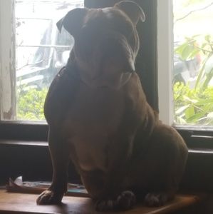 Meet your Posher, Ben