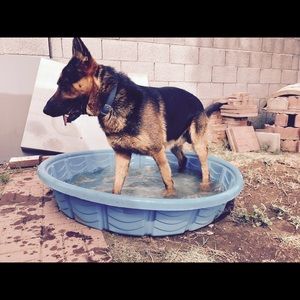 Meet your Posher, Devin