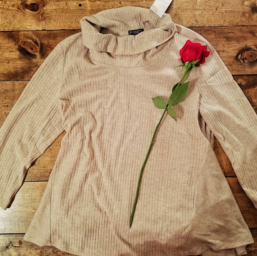 Taupe Turtleneck Blouse