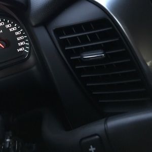 Meet your Posher, Shelly