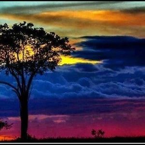 Meet your Posher, Rafael