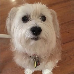 Meet your Posher, Perry