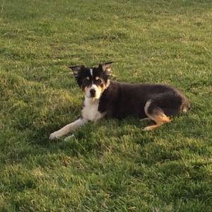 Meet your Posher, Amy