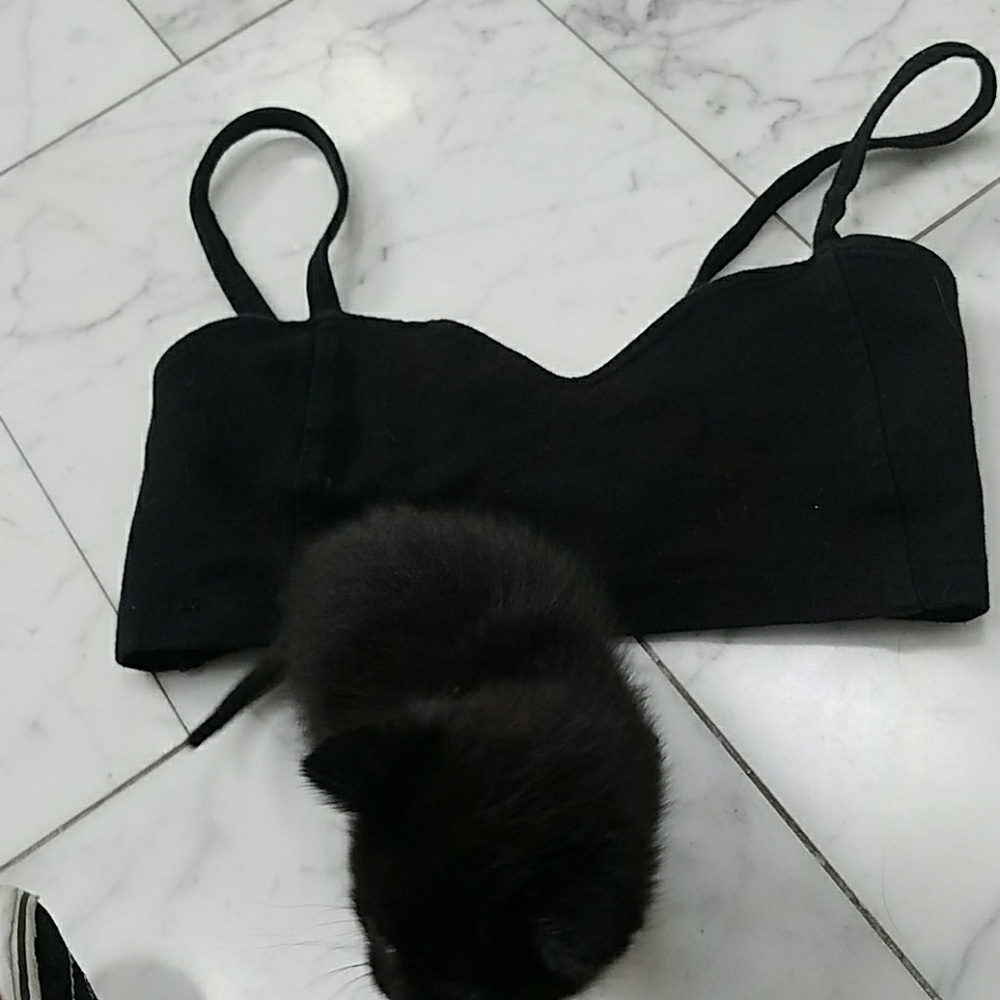 BRANDY MELVILLE brallete