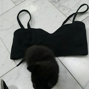 BRANDY MELVILLE brallete