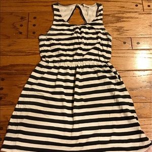 Large Loft summer dress