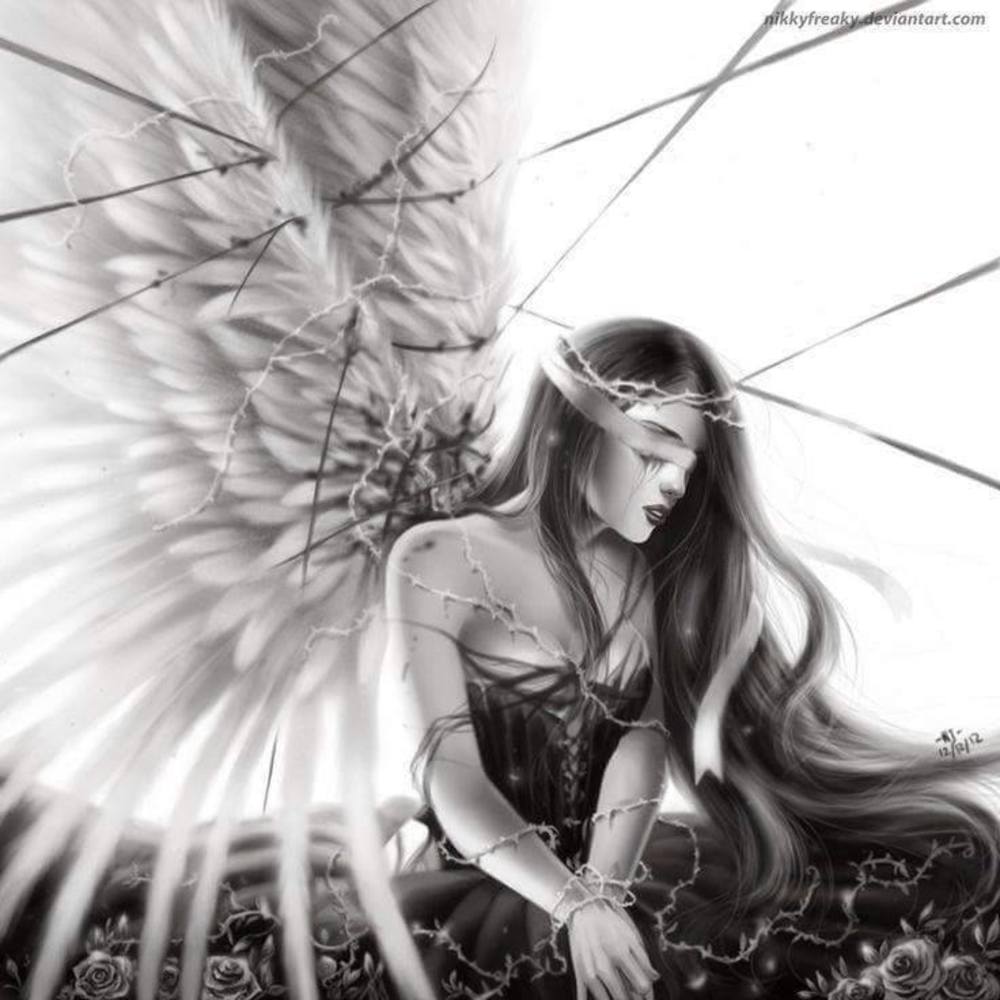 Meet your Posher, Dani