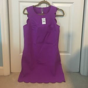 JCrew purple scalloped dress. NWT