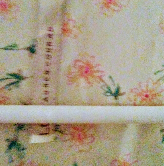 🎂🎂Lc sleeveless sheer shirt - Picture 4 of 5