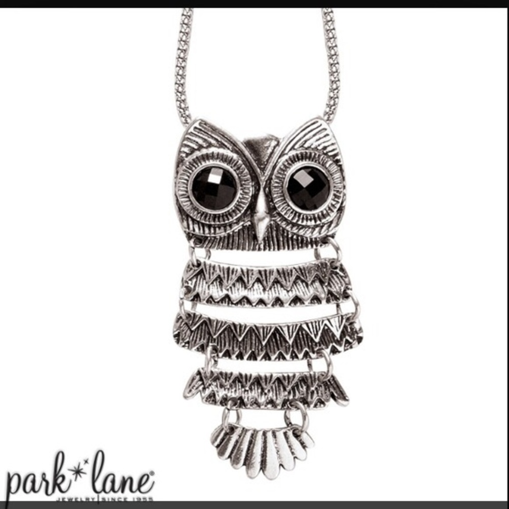 Park Lane Owl Necklace. EUC