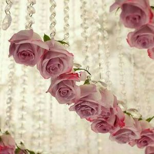 Meet your Posher, Luz