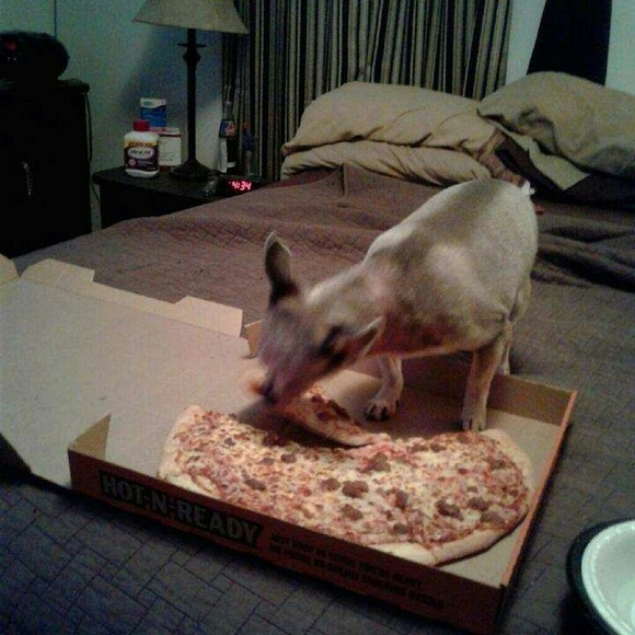 Meet your Posher, Annette - Picture 1 of 1