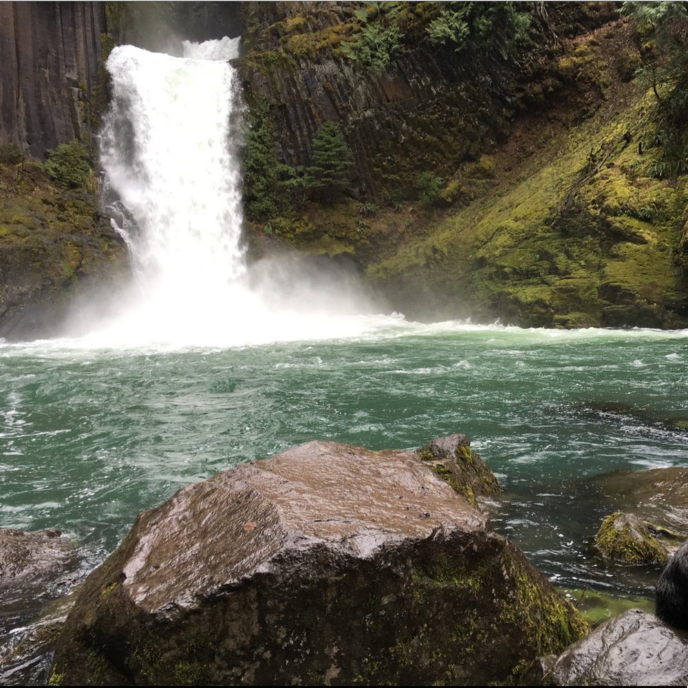 Meet your Posher, Donna