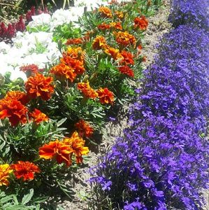 Meet your Posher, Ariacne