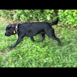 Meet your Posher, Andrew