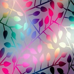 Meet your Posher, Angelica