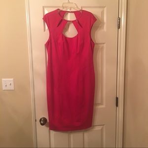 NWT Cache Cut Out Detail Dress 14
