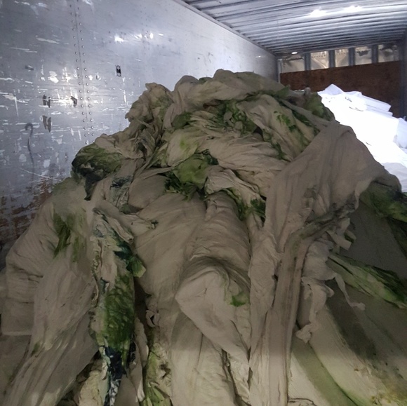 Meet your Posher, Michael - Picture 1 of 1