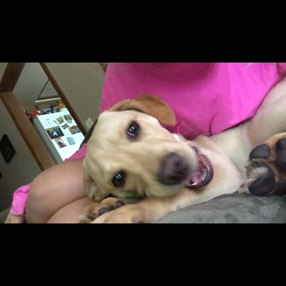 Meet your Posher, Bre