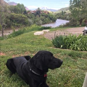 Meet your Posher, Jackson