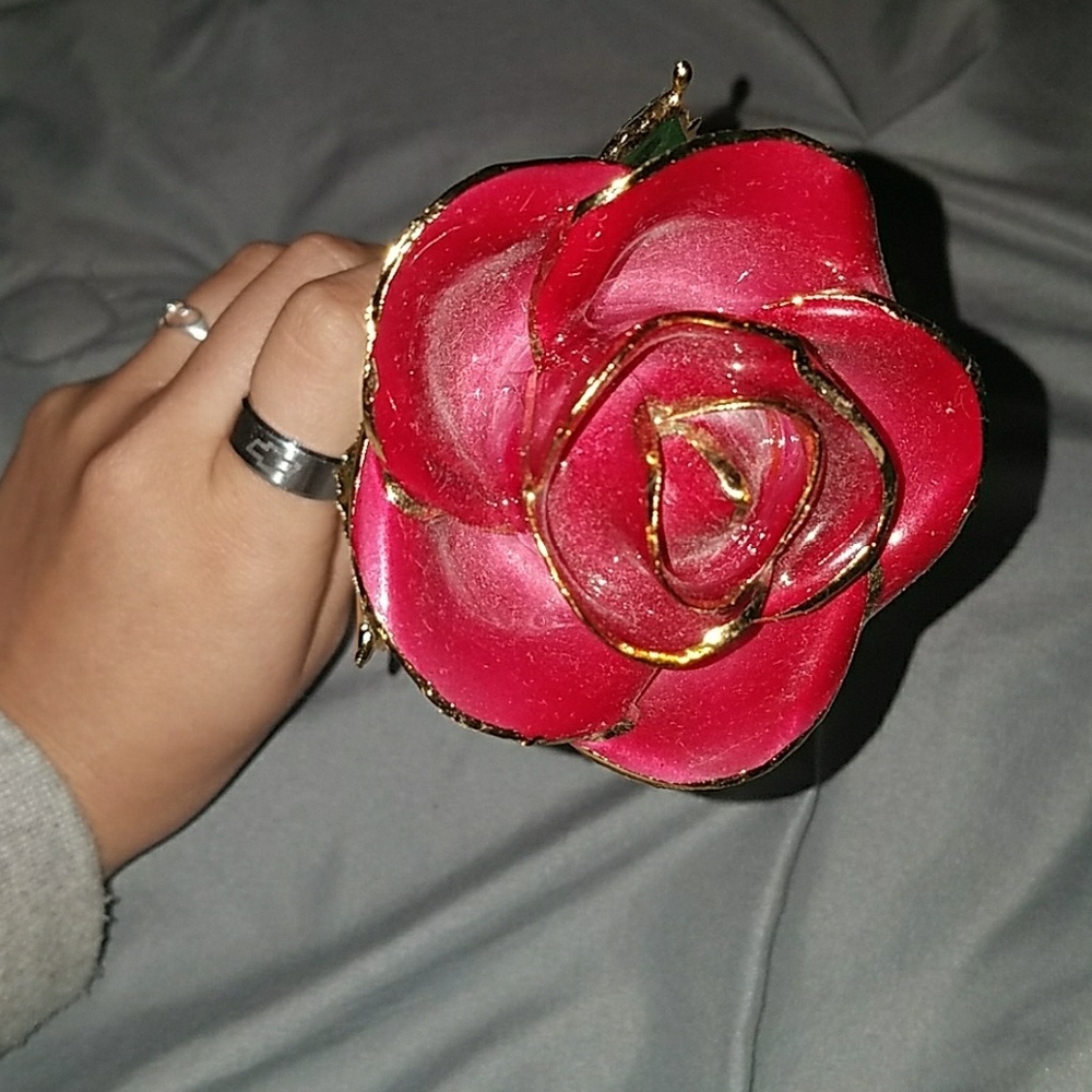 Steven Singer 24K Rainbow Rose