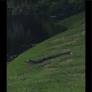 Meet your Posher, Gail